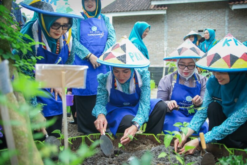 Desa TAPIS Hadir di Tanggamus, PKK Provinsi Lampung Dorong Kesejahteraan dari Akar Desa